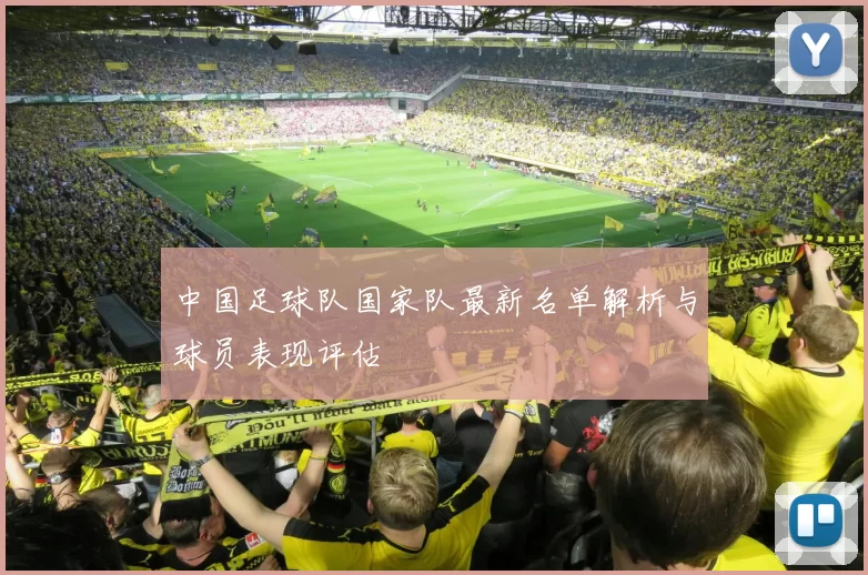 中国足球队国家队最新名单解析与球员表现评估